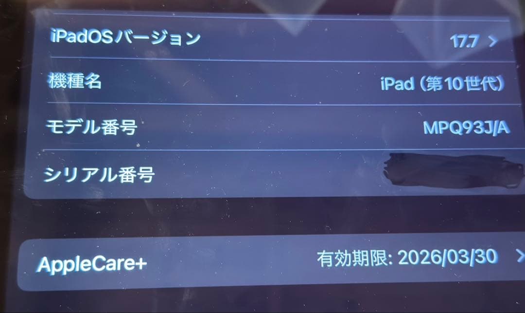 Apple iPad 第10世代 256GB AppleCare付き