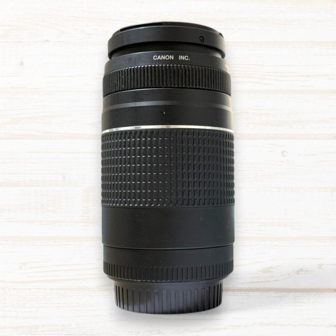 ⭐美品⭐ Canon 望遠レンズ EF 75-300mm F4-5.6 Ⅲ