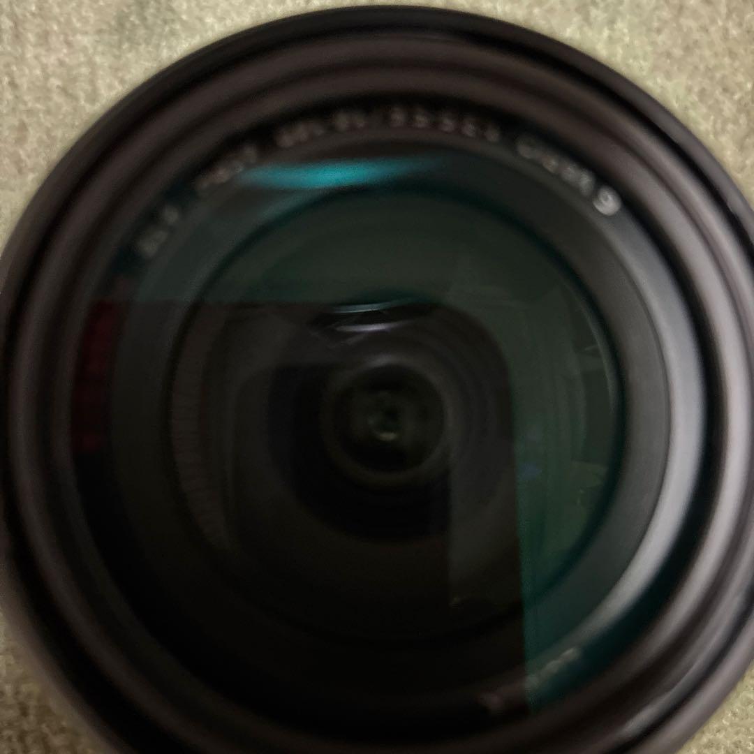 LUMIX 14-140mm F3.5-5.6 (期間限定)
