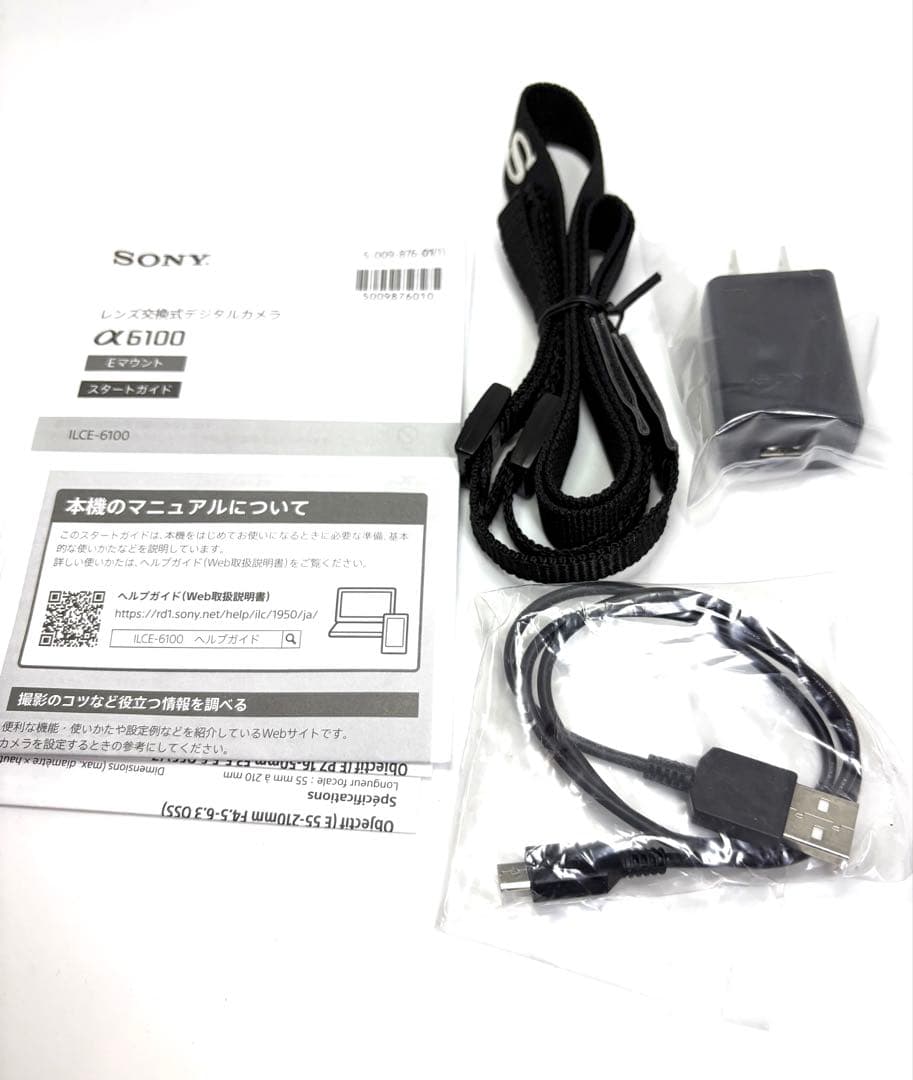 ★極上品★S数1205回　ソニー　SONY α6100 ダブルズームレンズキット