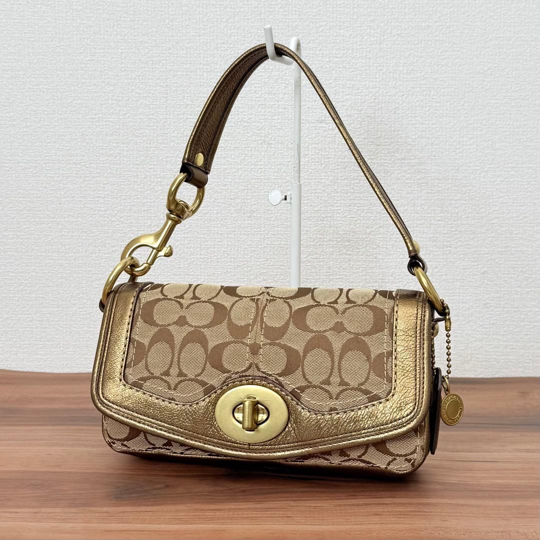 70×63cm【赤富士】寺園有作