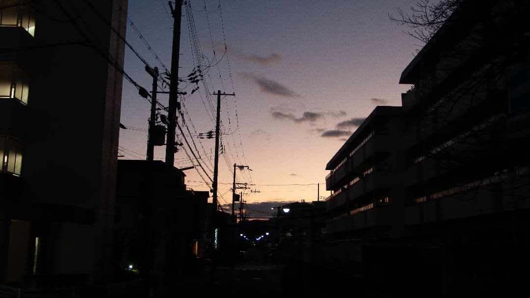 【ゲッコー】　Leica D-LUX3