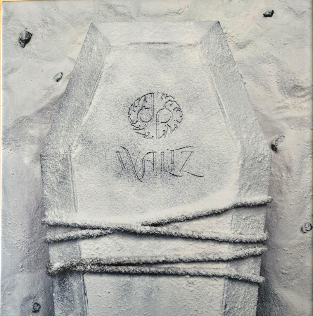 龍宮城 WALTZ 完全生産限定盤 白盤(トレカなし)+期間限定生産盤セット