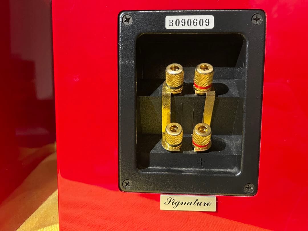 USHER S-520 Signature フェラーリレッド