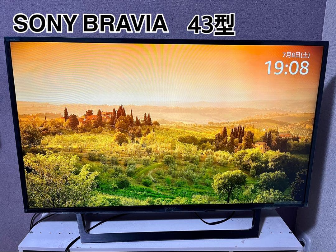 SONY BRAVIA 43型 ジャンク品 - メルカリ