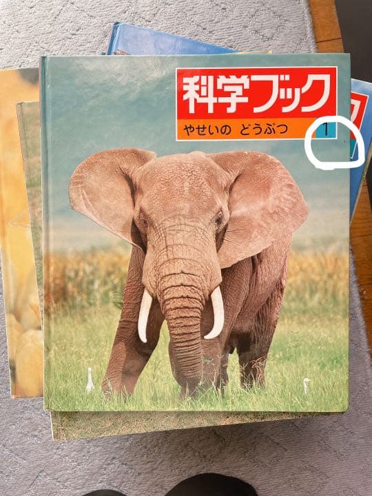 世界文化社 科学ブック全巻セット - メルカリ