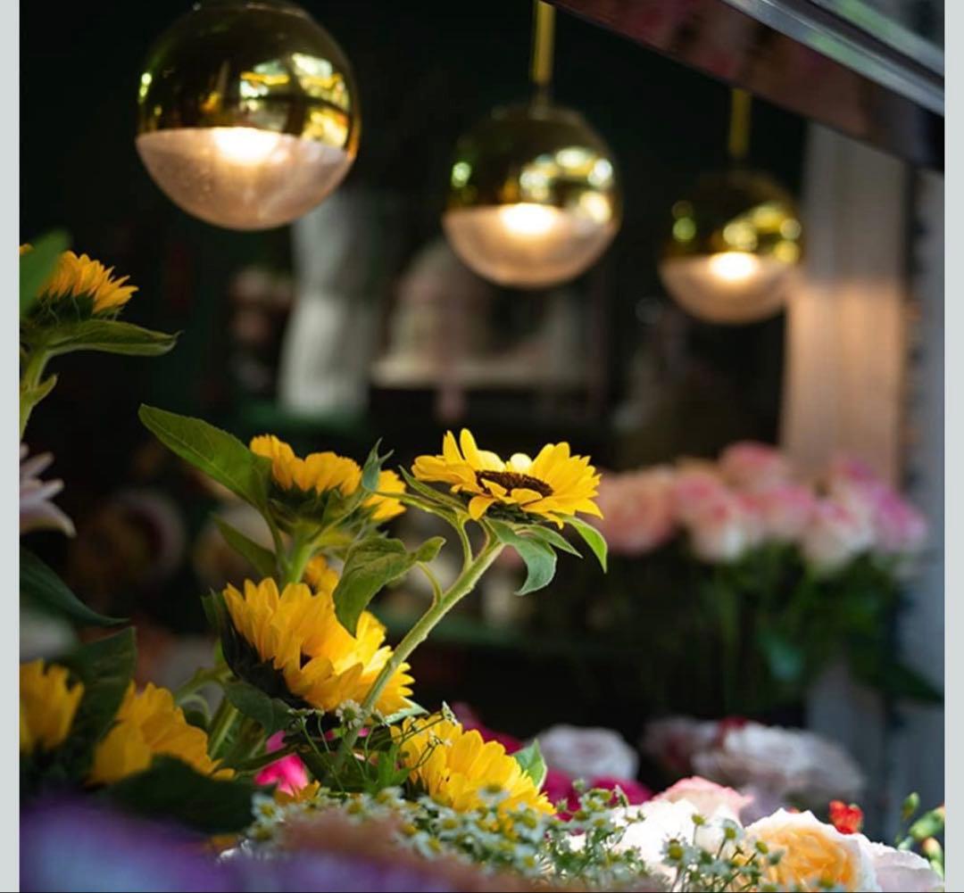 TTArtisan 50mm f/2.0 Xマウント fuji用