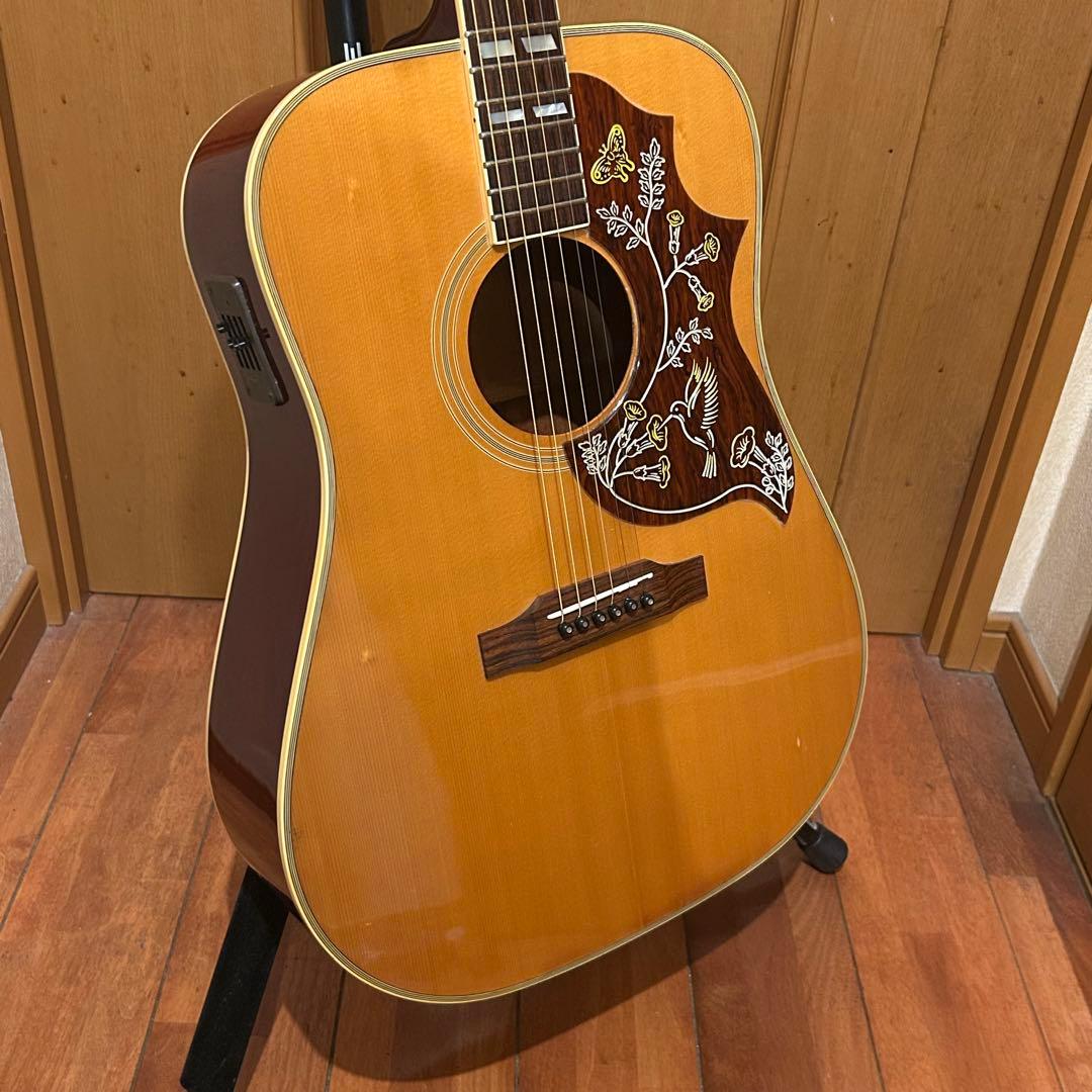 ♡*様 超レア！Orville by Gibson HUMMINGBIRDエレア - メルカリ