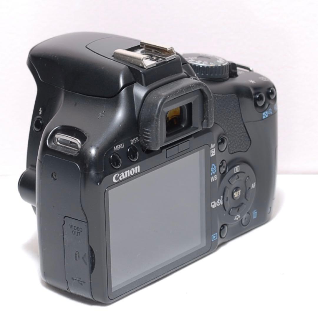 ✨超望遠レンズデビュー✨Canon Kiss X2✨ ダブルレンズ✨作例あり✨