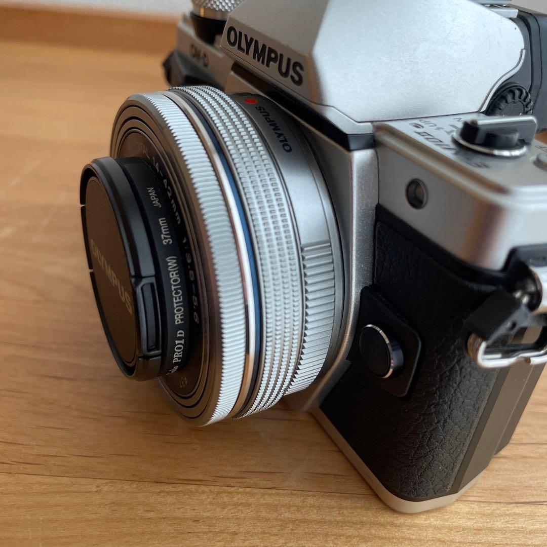 OLYMPUS E-M10 MarkII ダブルズームキット ショット数3331