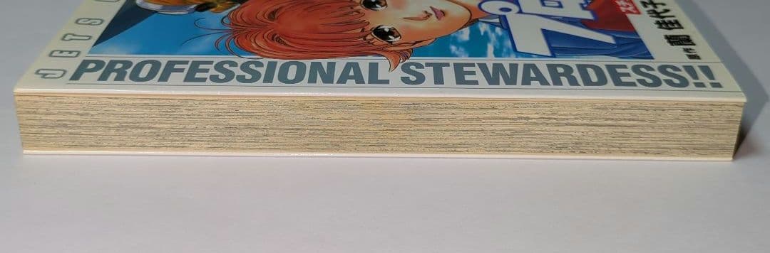 【希少】プロフェッショナル スチュワーです!! / 全1巻 / レア