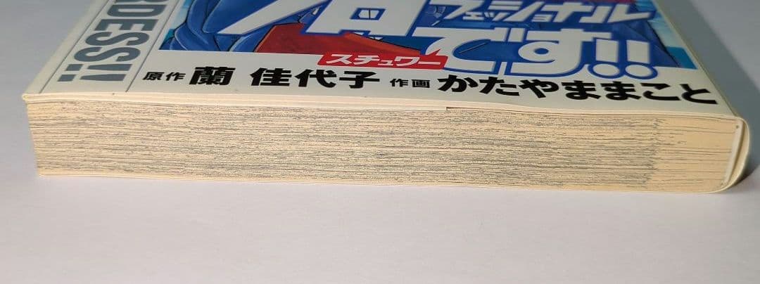 【希少】プロフェッショナル スチュワーです!! / 全1巻 / レア