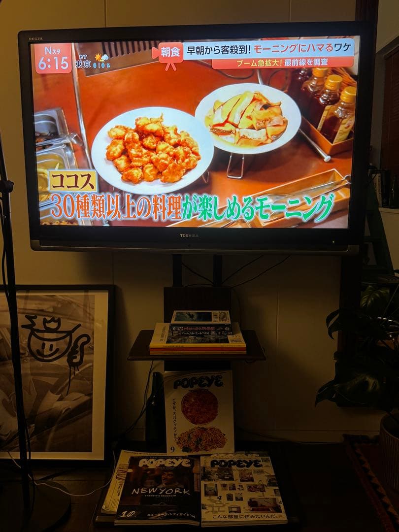 定価35万円　42インチ　TOSHIBA REGZA