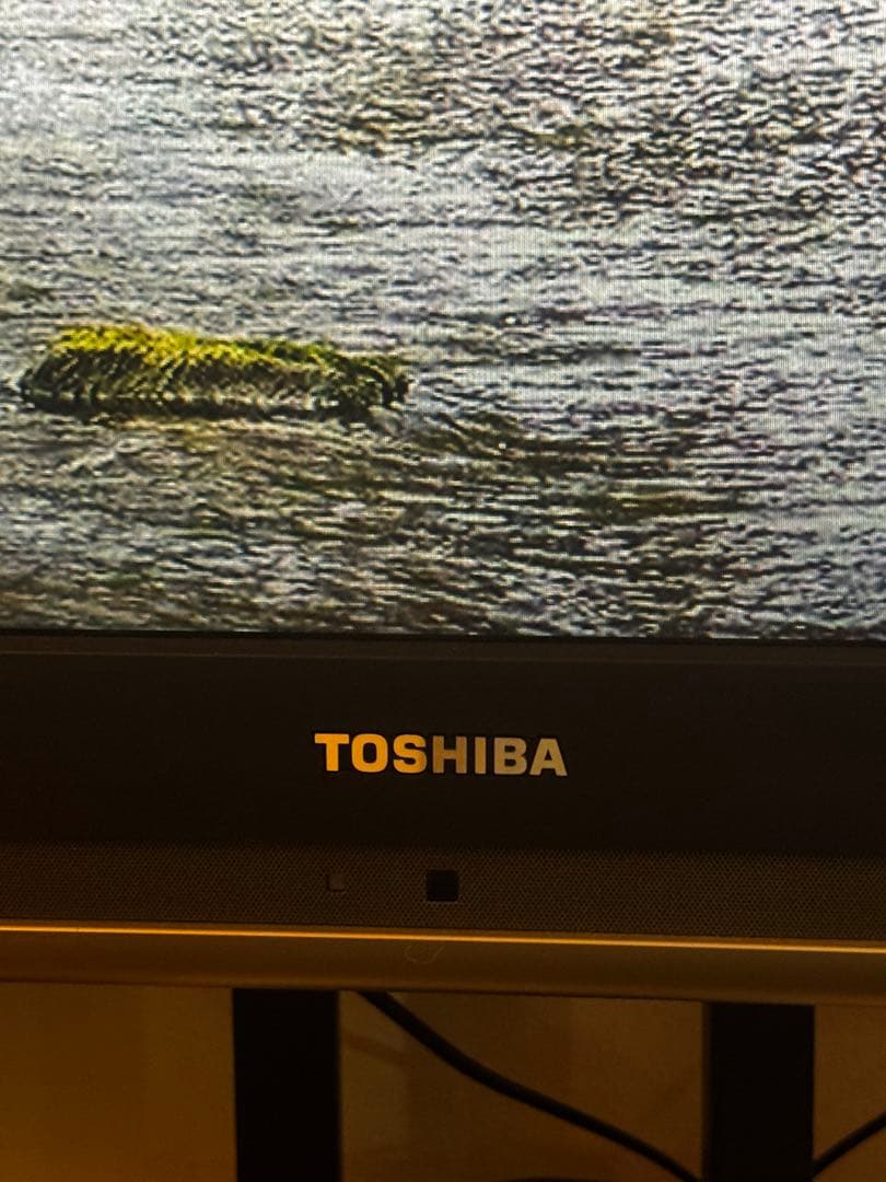 定価35万円　42インチ　TOSHIBA REGZA