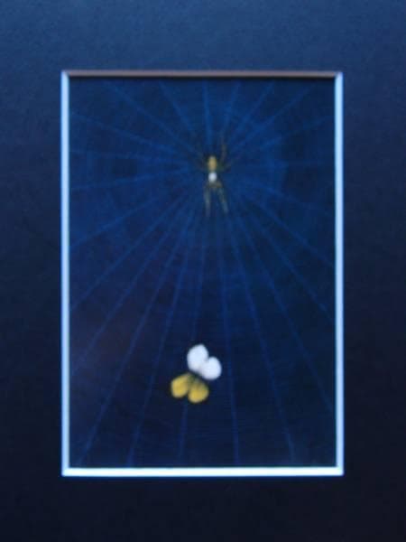 加山 又造、蜘蛛と蝶、希少画集画、新品額装、状態良好 - メルカリ