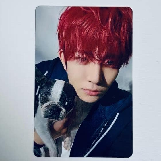 ENHYPEN ヒスン アンケートトレカ 2025 - メルカリ