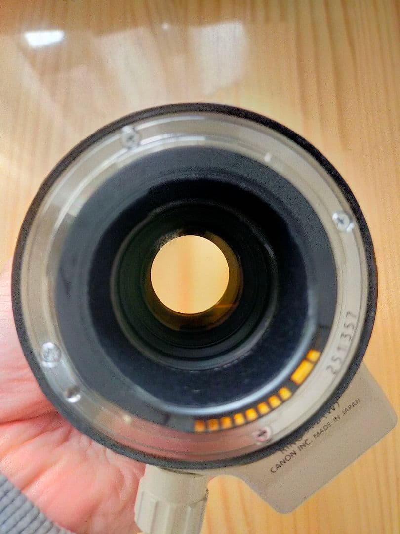 Canon キャノン EF 70-200mm F4L IS USM フード付き