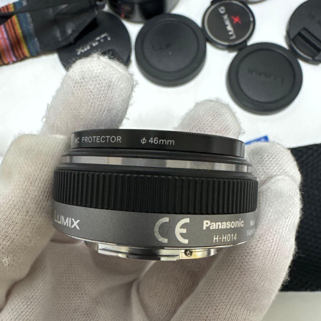 LUMIX G ミラーレス一眼カメラ DC-GF9W ダブルレンズキット+2点