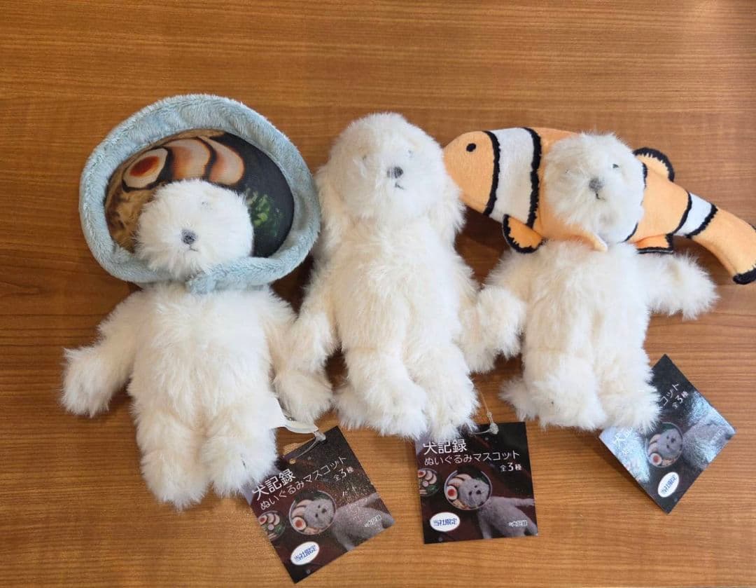 犬記録 ぬいぐるみマスコット 全3種 クマノミ ラーメン 犬 - メルカリ