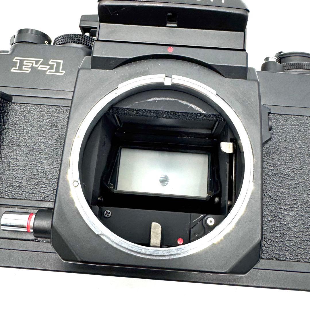 美品 キャノン CANON New F-1 AEファインダー ボディ