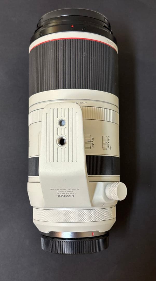 Canon キャノン RF100-500mm F4.5-7.1 L IS USM