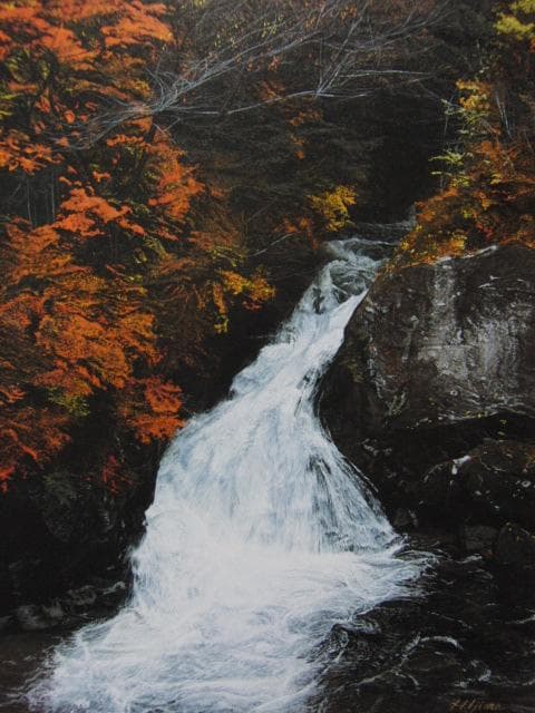 居島春生、朱の宴、希少な画集より、新品高級額・額装付