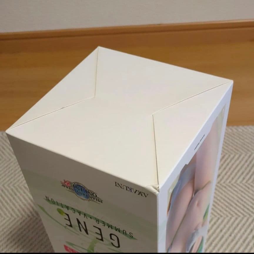 ジェネ サマーバケーション ファンタシースターオンライン2 es AMAKUNI