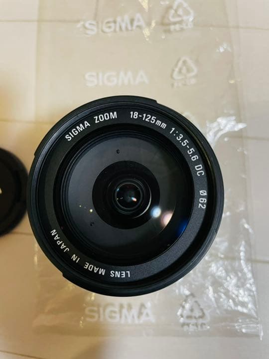 その他 SIGMA 18-125F3.5-5.6 DC/N