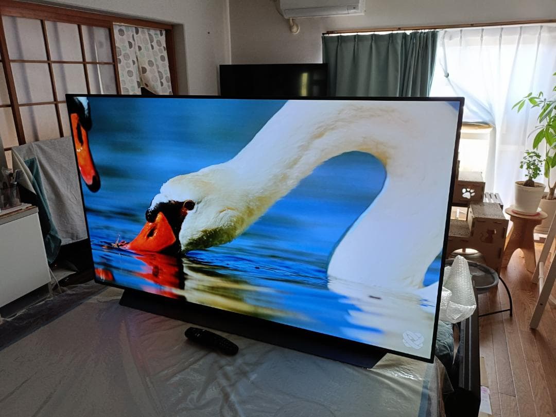 Du Hong LG OLED55C9PJA 2019年製 4K 有機EL