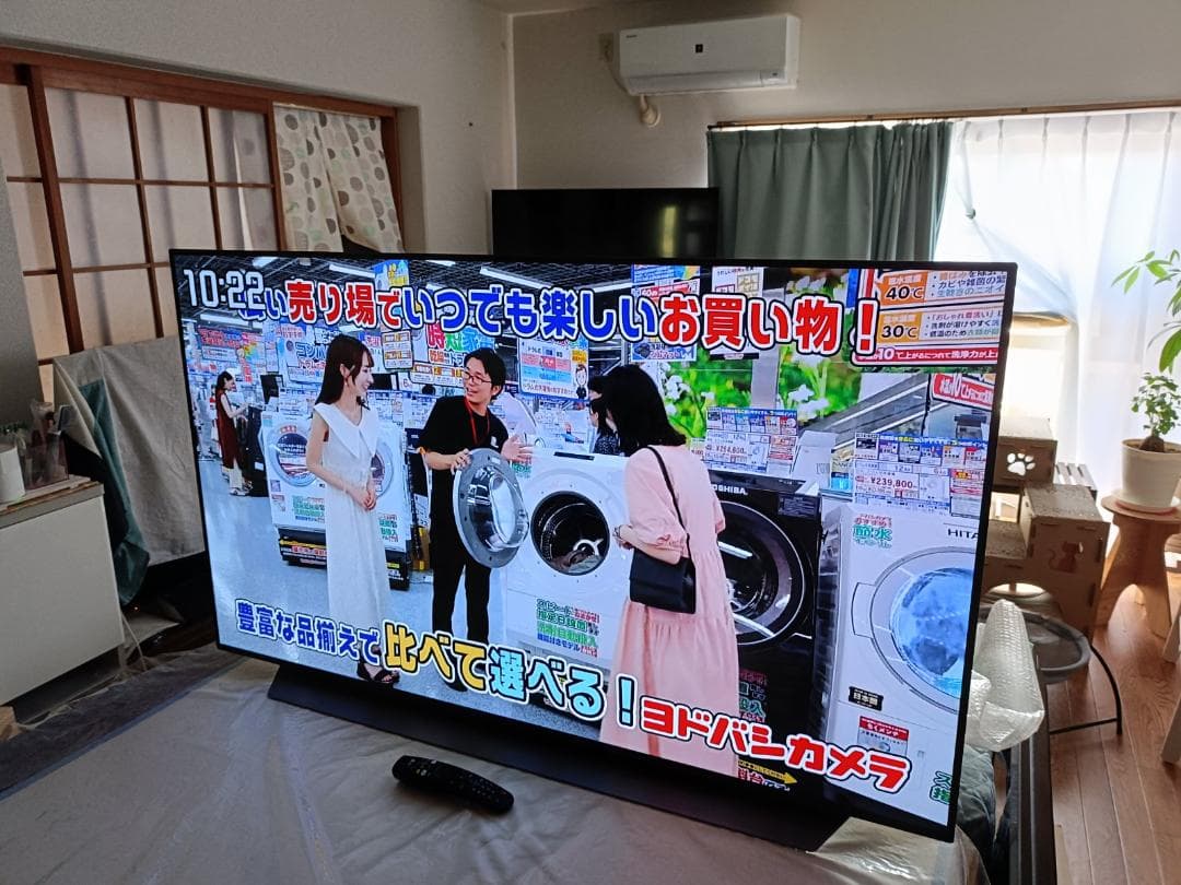 Du Hong LG OLED55C9PJA 2019年製 4K 有機EL