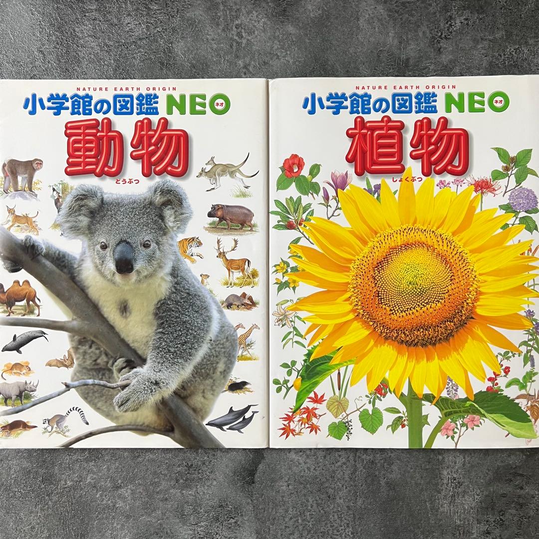 本日まで❗️】小学館 図鑑 NEO 14冊セット DVD未開封・下敷やマップ付