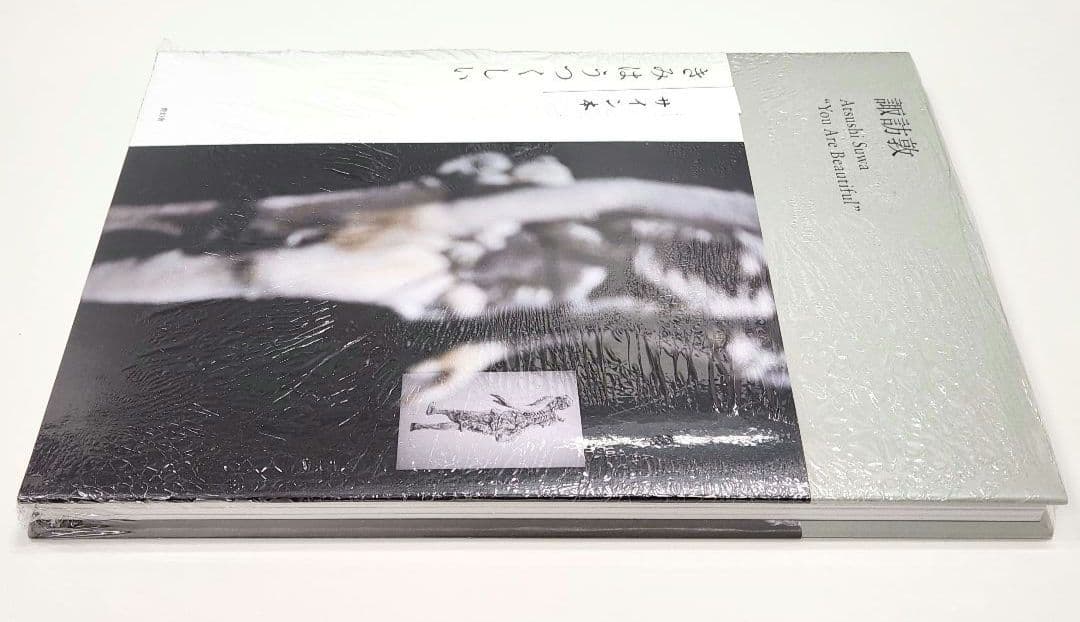 諏訪敦 You Are Beautiful サイン本 - メルカリ