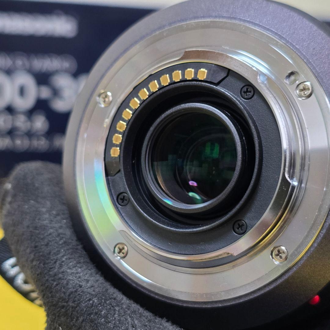Panasonic LUMIX G VARIO 100-300mmおまけ付美品