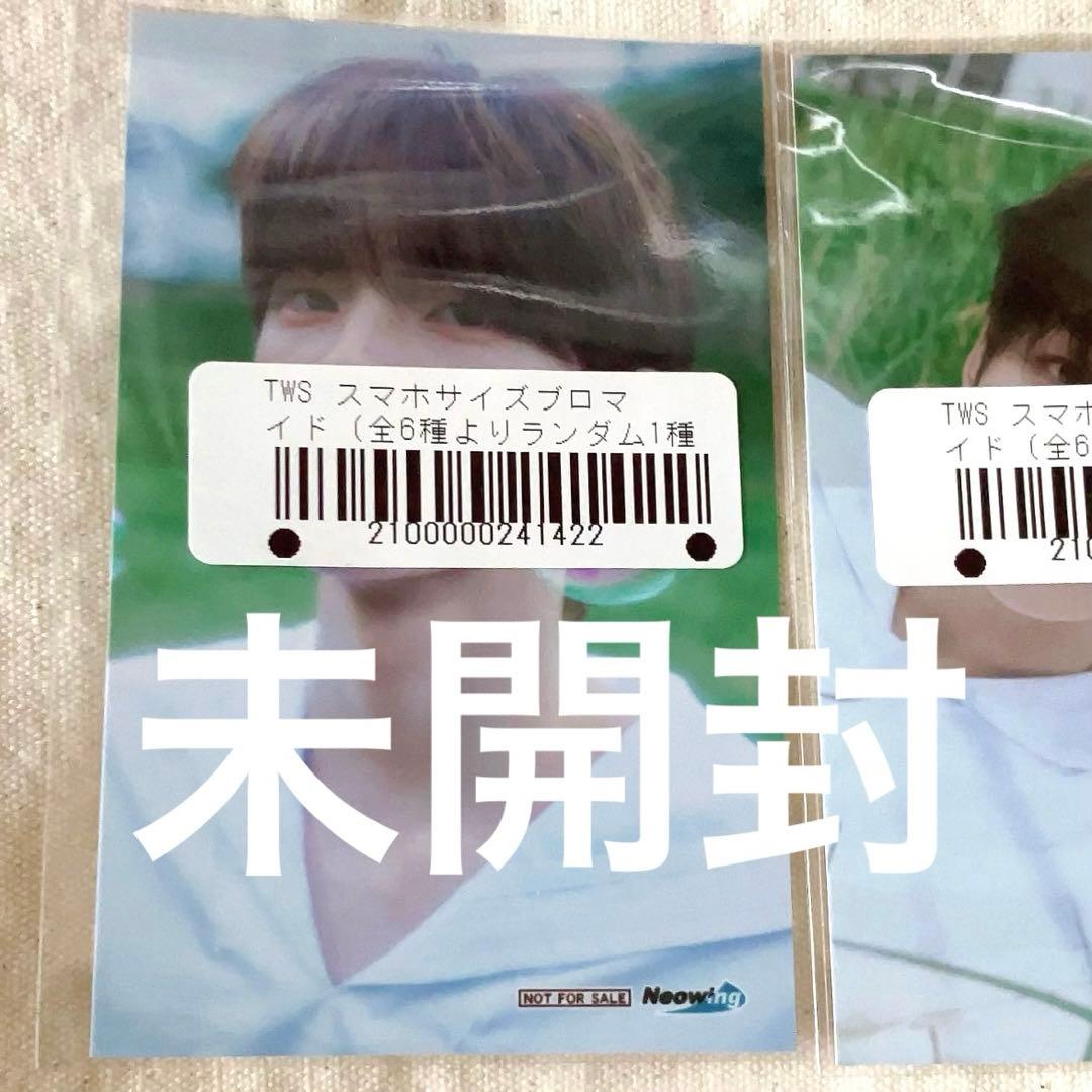 シニュ tws フォトカード特典 新品未開封 トレカ ブロマイド