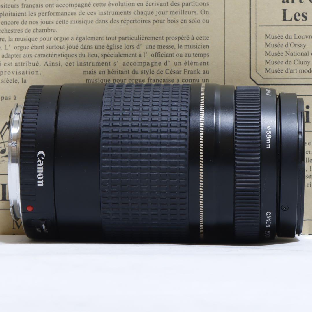◇超望遠&高速AF◇Canon純正 75-300mm II 望遠レンズ!!◇