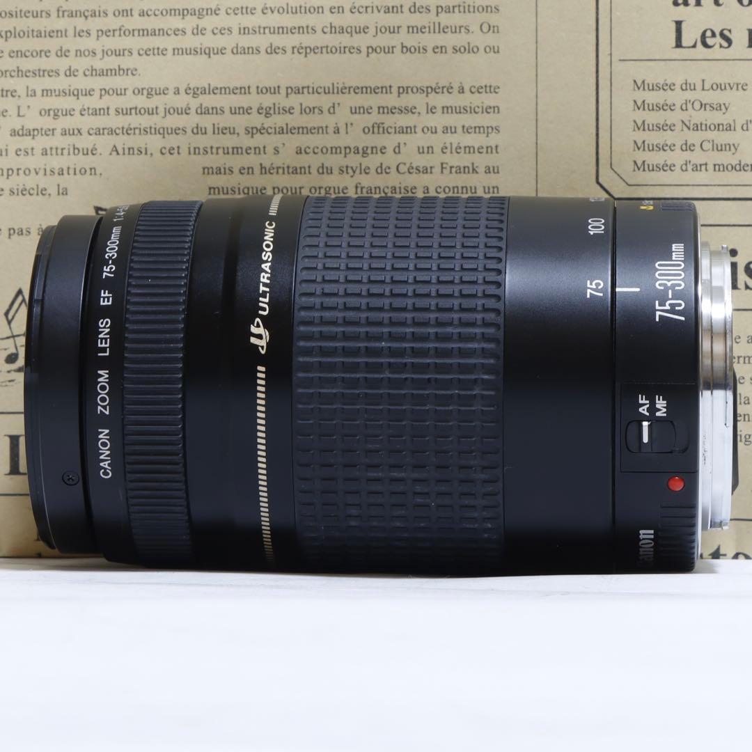 ◇超望遠&高速AF◇Canon純正 75-300mm II 望遠レンズ!!◇