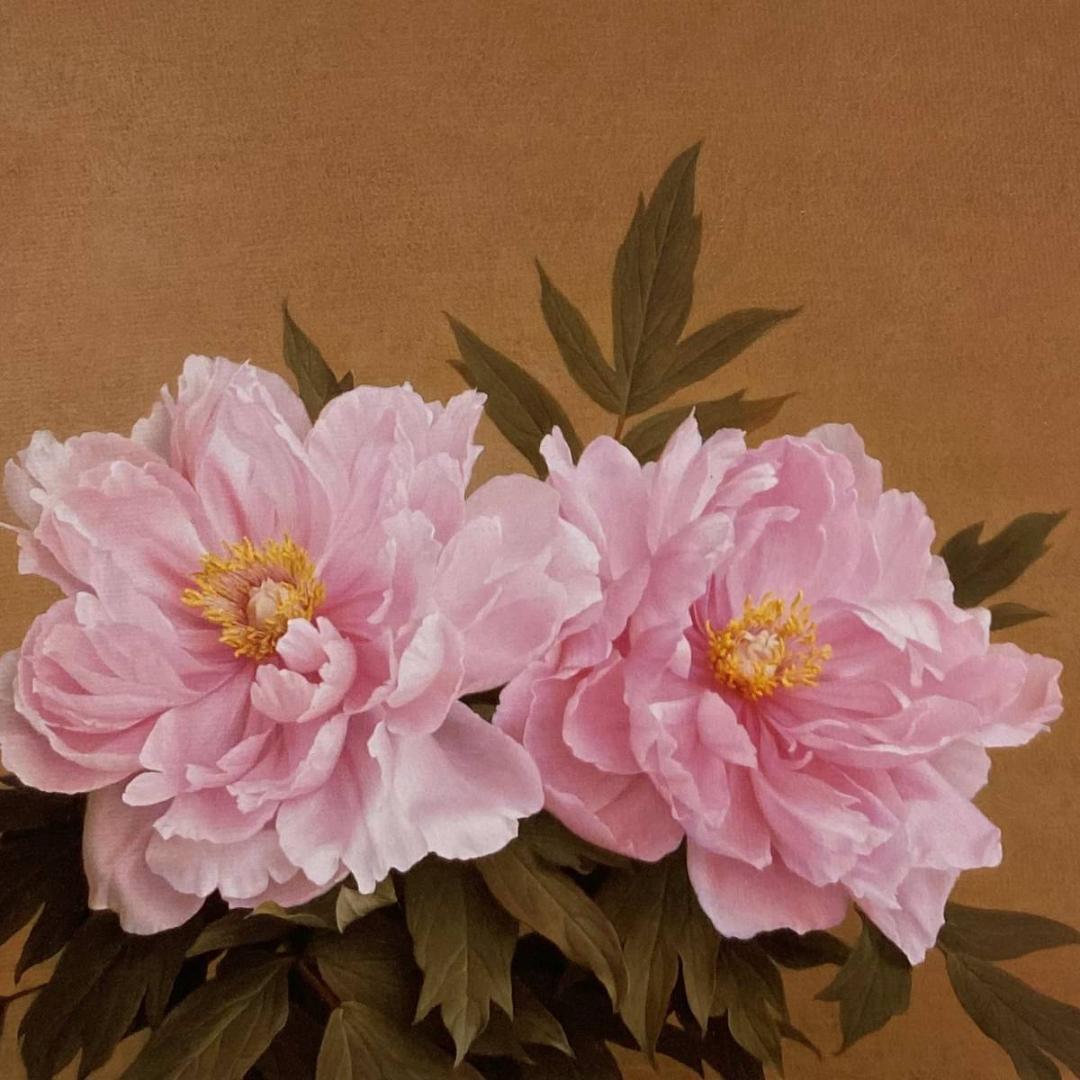 森本草介、【牡丹】、希少な額装用画集画、新品高級額 額装付、状態良好