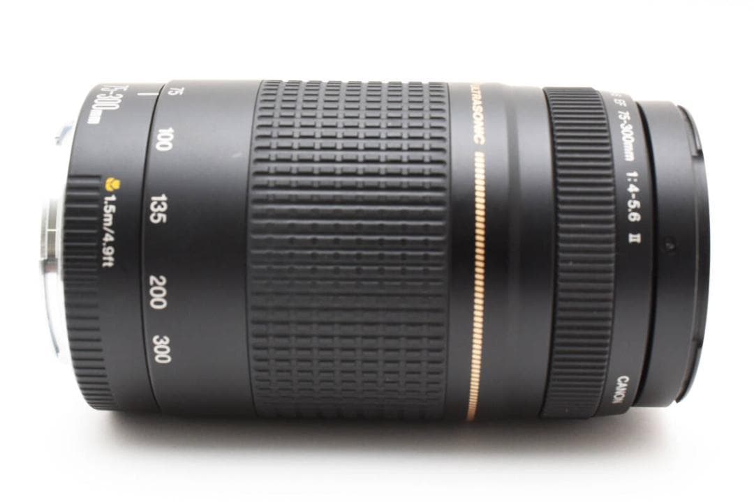 レンズ(ズーム) Canon EF 75-300mm F4-5.6 II USM AA2866