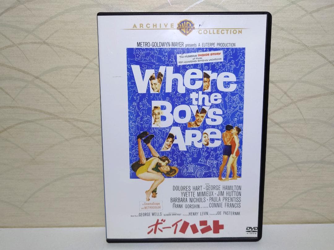 ★希少★ ボーイハント ［DVD］