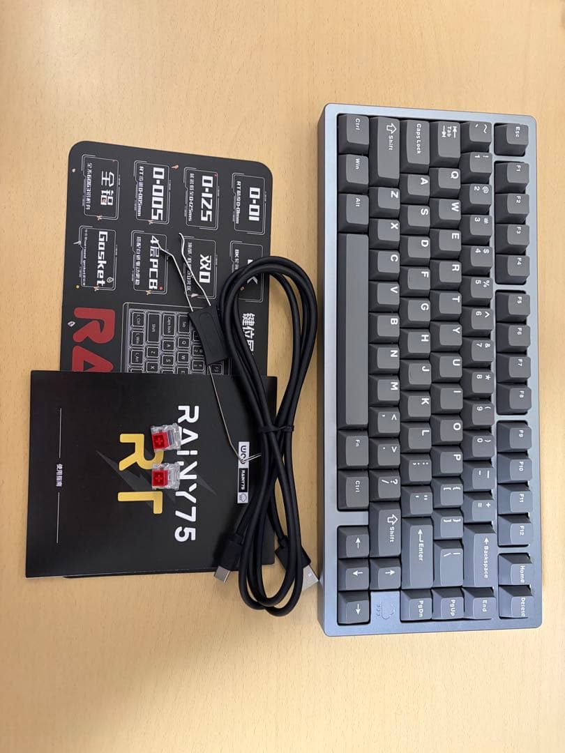 RAINY75 RT グレー　ラピッドトリガー