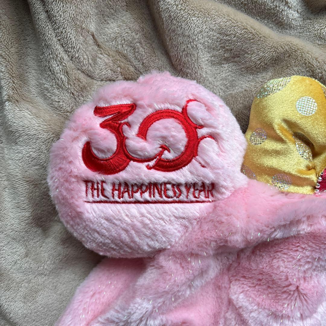 レア品 ディズニー30周年 ディズニーファンキャップ ミニーちゃん