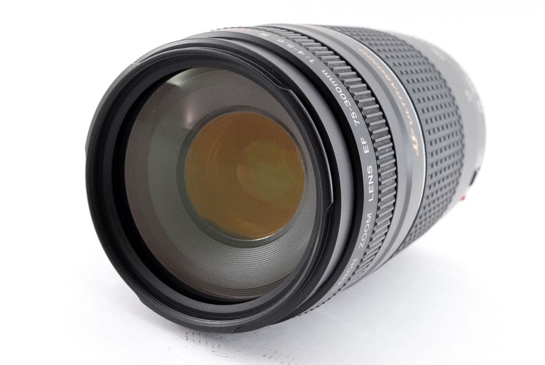 望遠レンズ/大迫力/キャノン/Canon EF75-300㎜USM