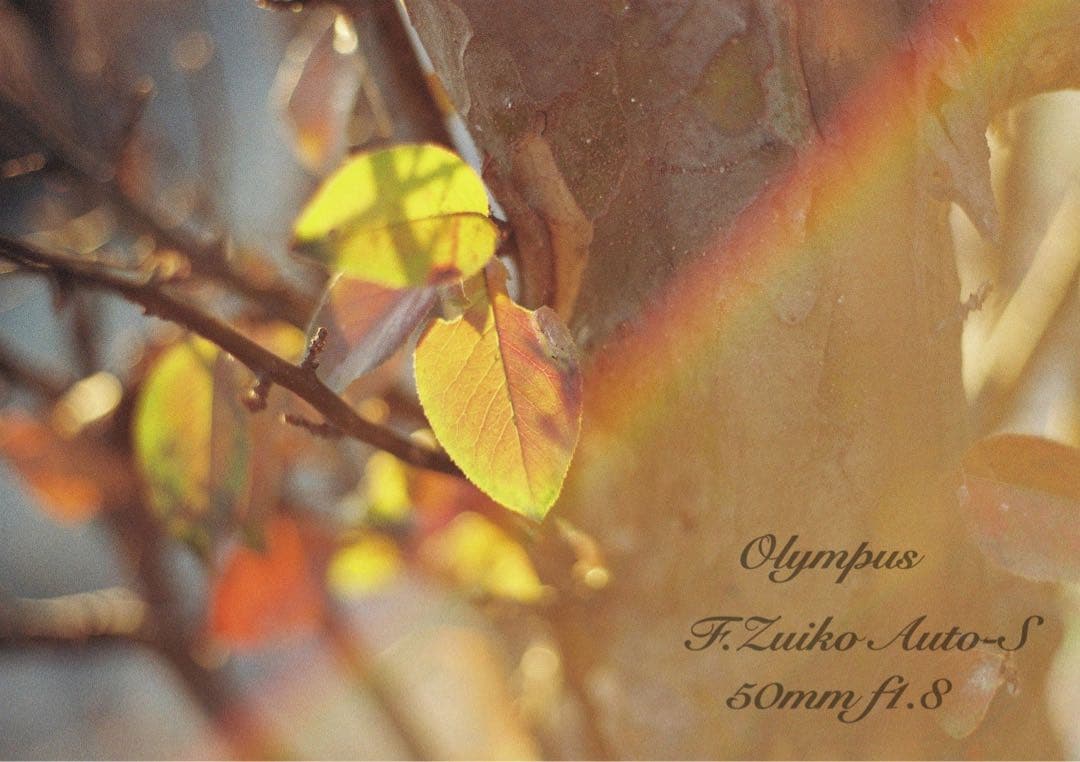 ★完動品＊美品＊初期保証★OM-1 ★グリーンリザード外装★作例必見！