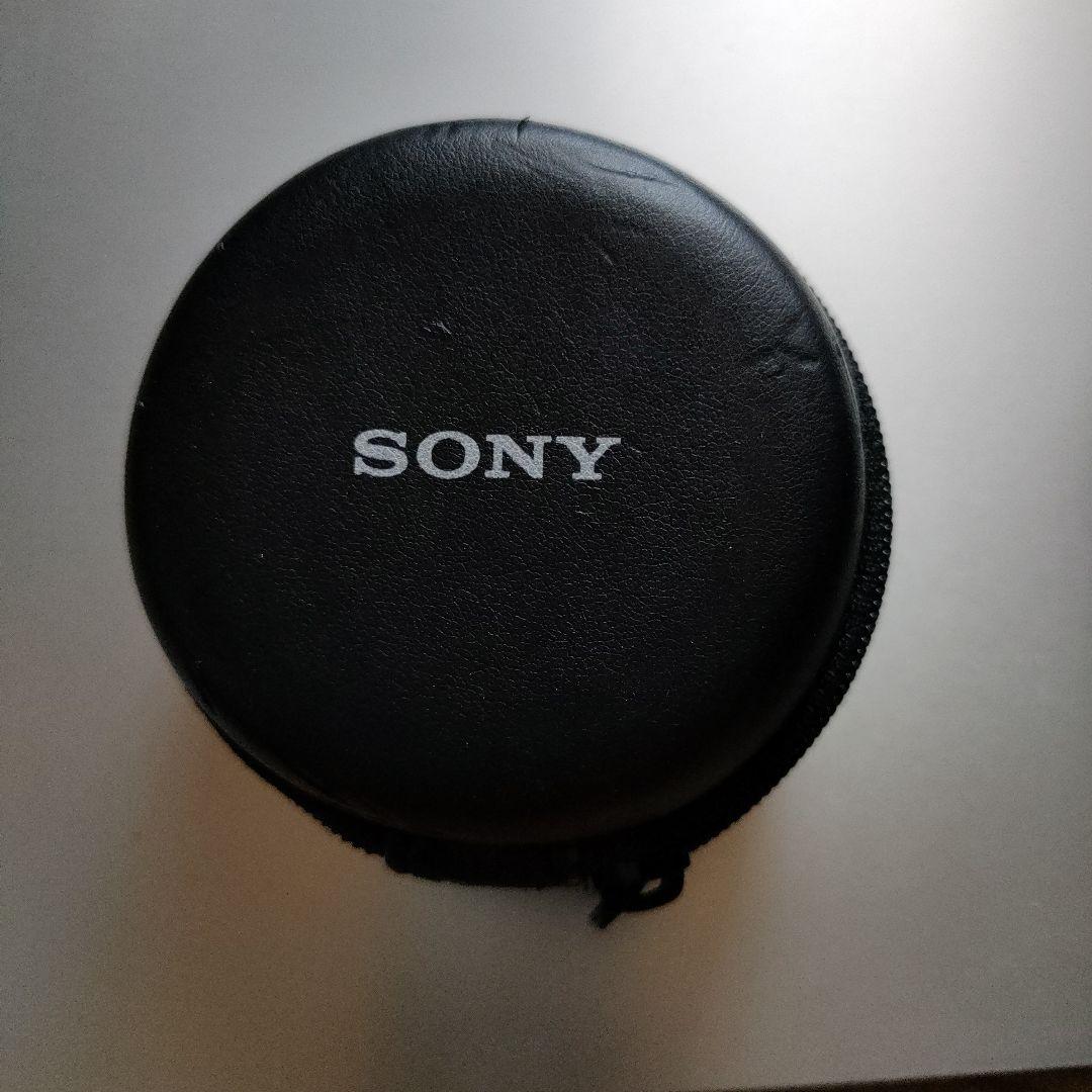 ソニー 広角レンズ