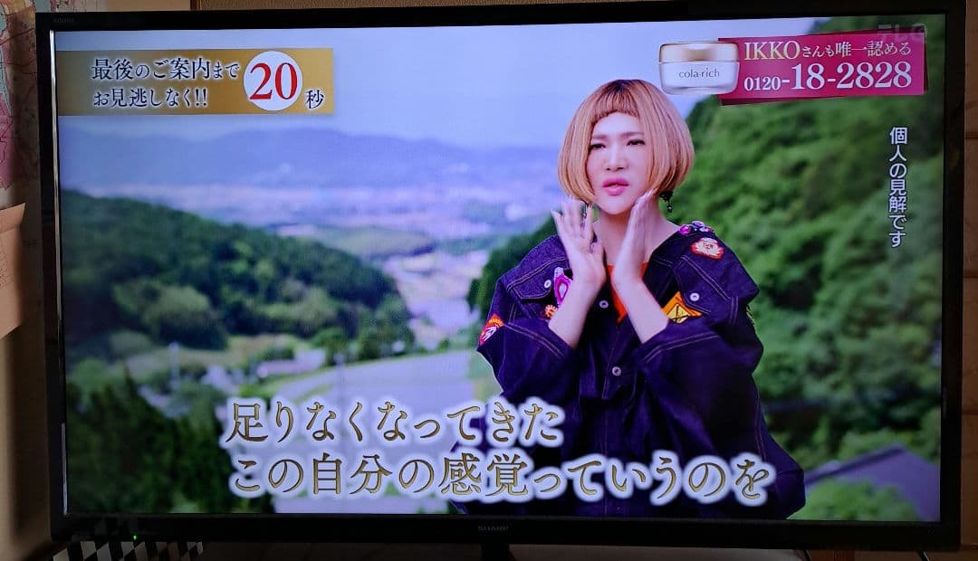 SHARP　AQUOS　 液晶テレビ 　40型　2T-C40AE1