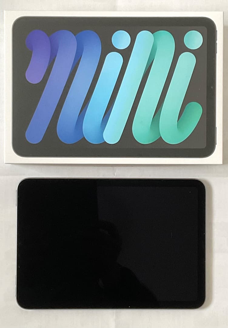 iPad mini (A17 Pro) Wi-Fi 256G スペースグレイ