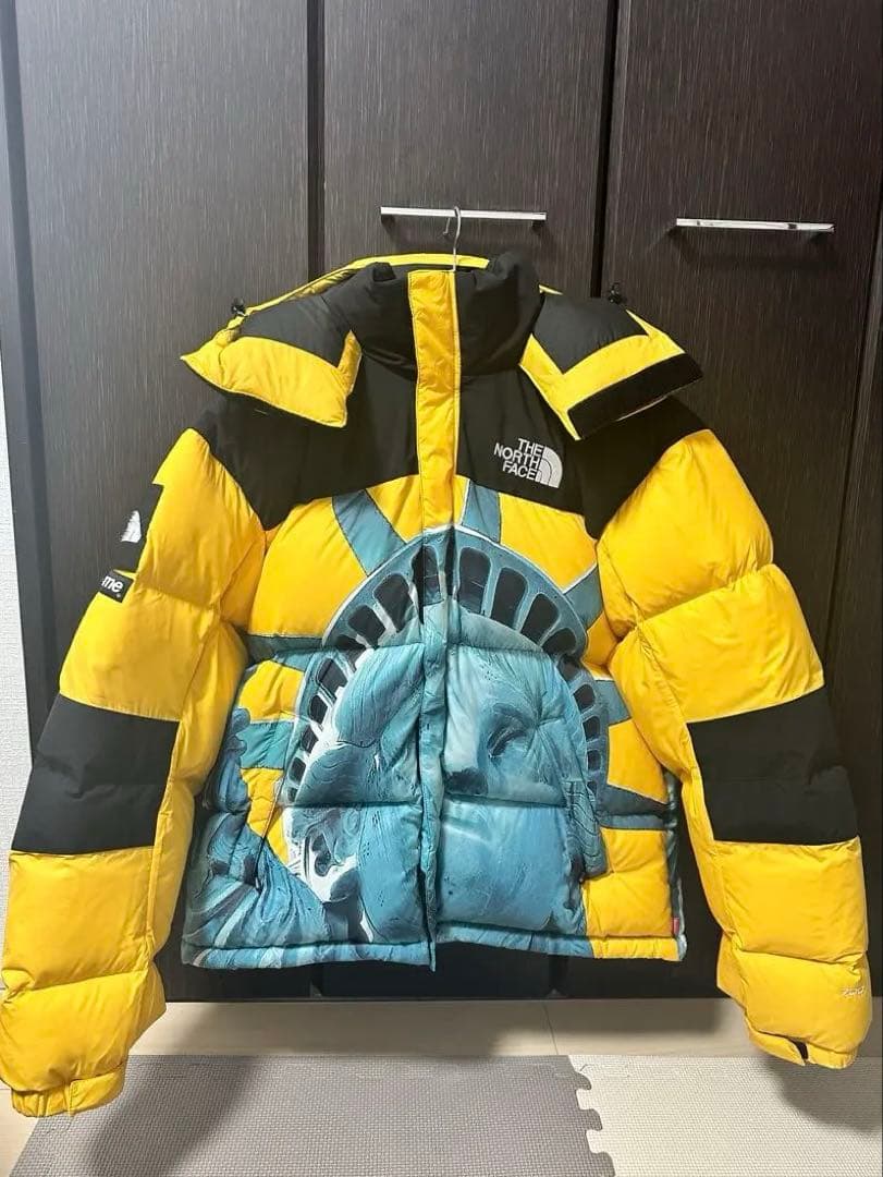 最終値下~Supreme ノースフェイス 自由の女神バルトロラ イトダウン 極