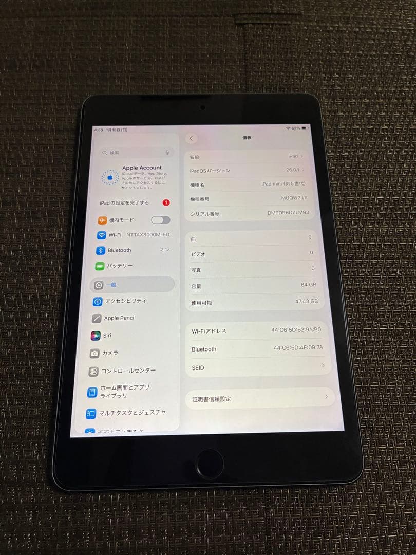 ジャンクiPad mini5 64Gb wifi