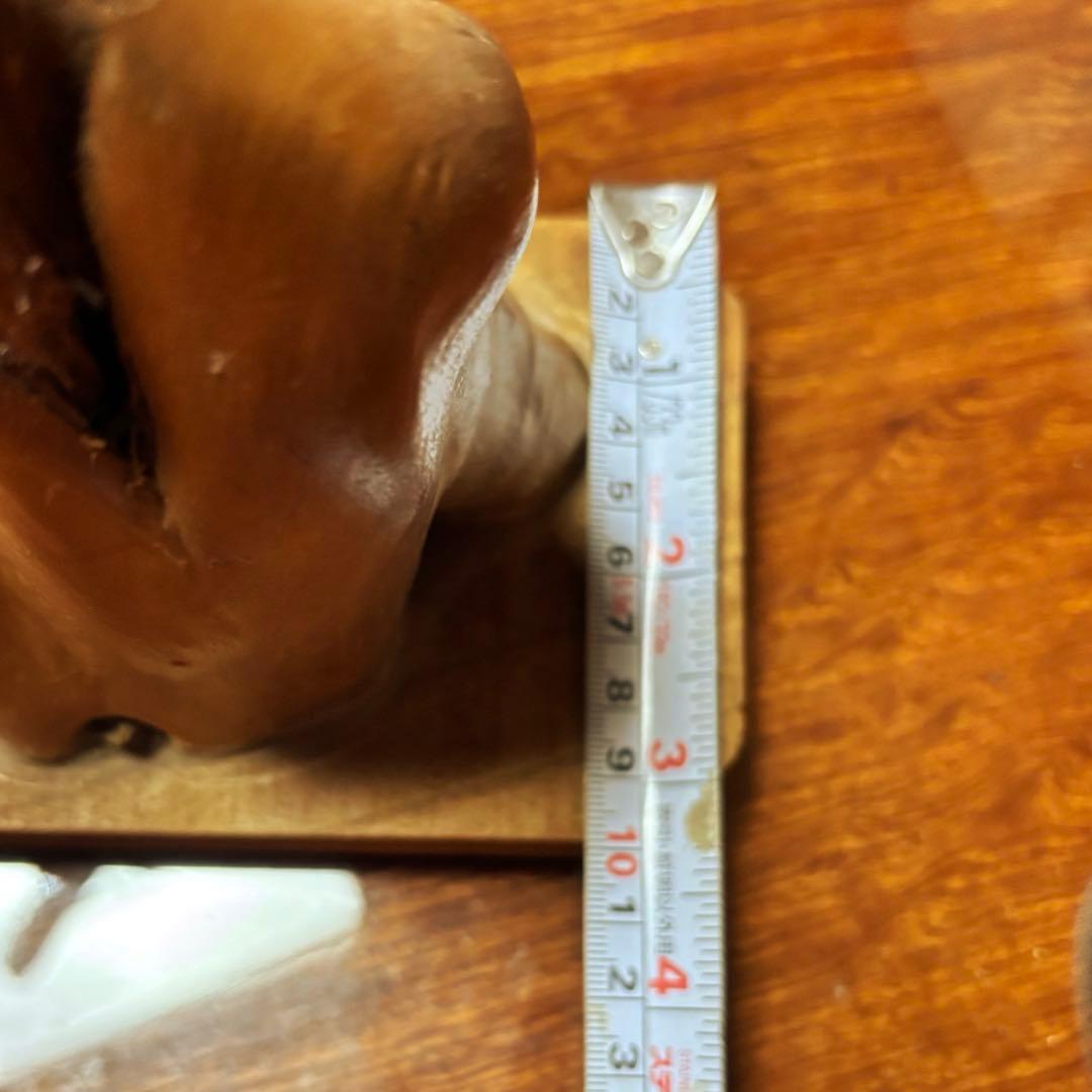 天然木の置物】 うねり木 ＊サイズ（約）：最大幅 18cm 、高さ30cm