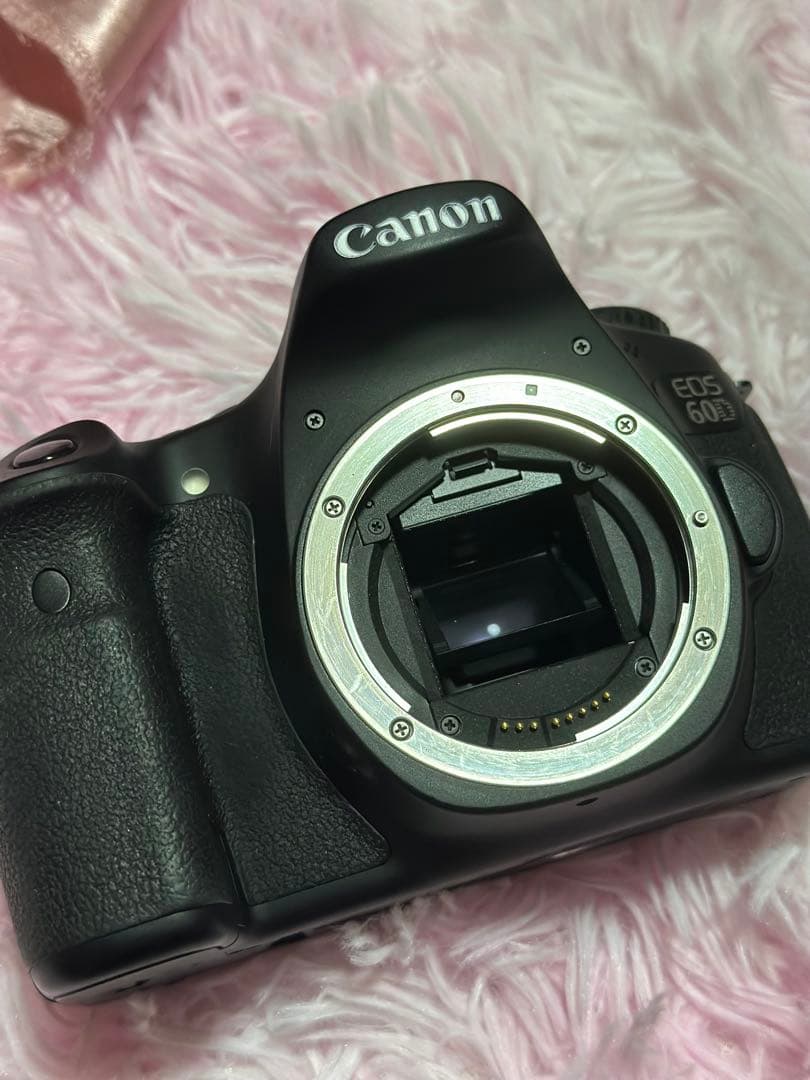 CANON EOS 60D✨Tamron 28-300mmレンズセット